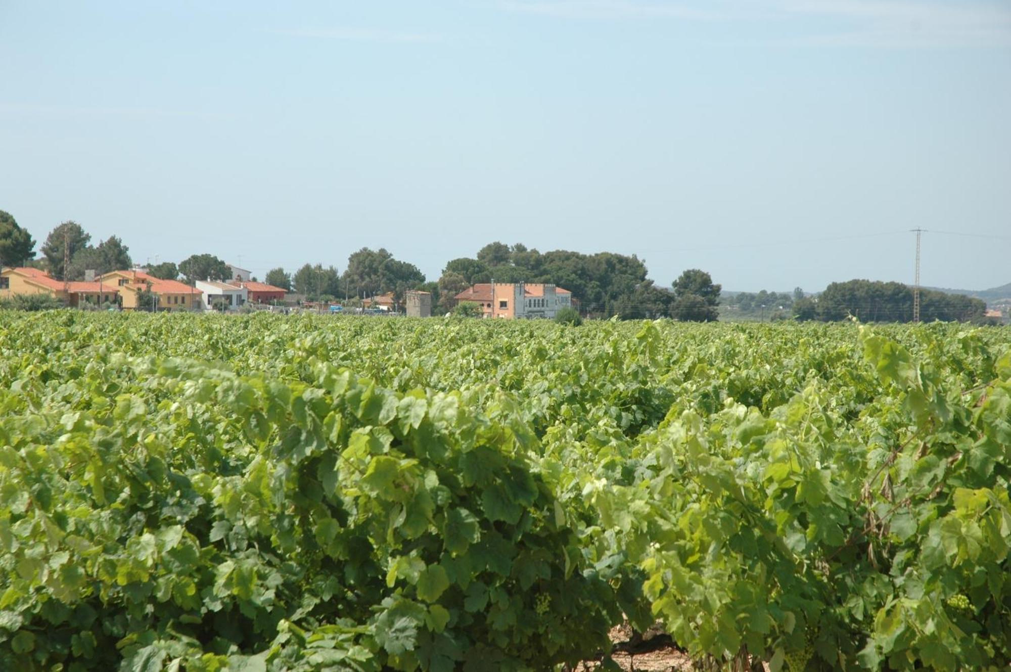 Hotel Restaurant El Bosc Banyeres del Penedes Екстериор снимка